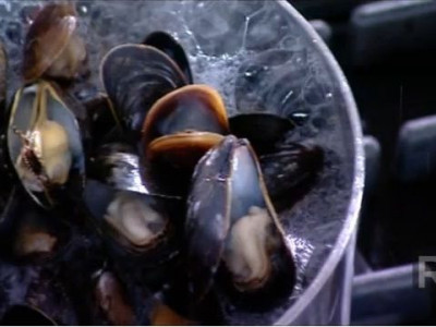 Πως μαγειρεύεις τα μύδια