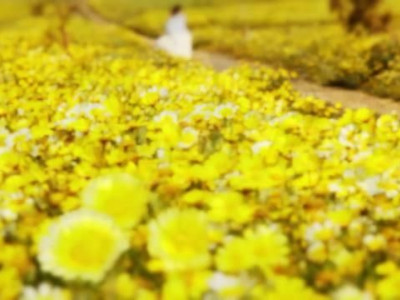 Τα πιο στιλάτα νυφικά από τη Victoria Kyriakides