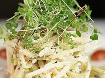 Σαλάτα Waldorf: Ο chef του ξενοδοχείου που τα ξεκίνησε όλα δείχνει την συνταγή