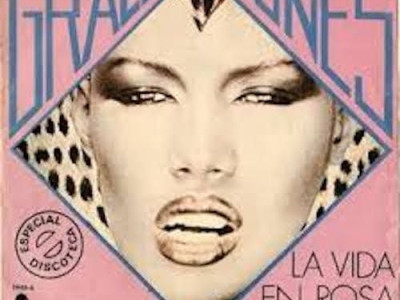 La Vie En Rose ~ Grace Jones
