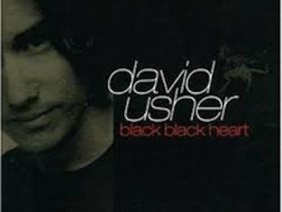 Black Black Heart ~  David Usher