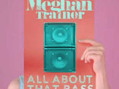 All About That Bass ~ Meghan Trainor