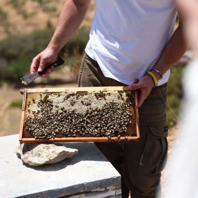 Η APIVITA μας ταξίδεψε στην Τζια για να ανακαλύψουμε τη θέση της μέλισσας στο οικοσύστημα & στη ζωή