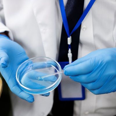 Εξωσωματική γονιμοποίηση: Τι καθορίζει την επιτυχία;