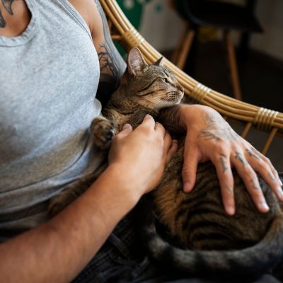 Είναι οι «γατομπαμπάδες» το νέο green flag; Είναι - και προσπάθησε να μου αλλάξεις τη γνώμη