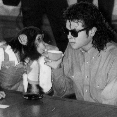 Κι όμως, ο Bubbles, ο χιμπατζής του Michael Jackson ζει: Η συνάντησή του με τον Jaafar Jackson