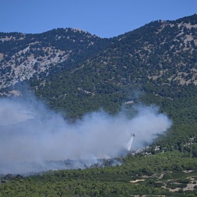 Η Ευρώπη στις φλόγες: Γιατί κάθε καλοκαίρι οι πυρκαγιές γίνονται πιο ακραίες;