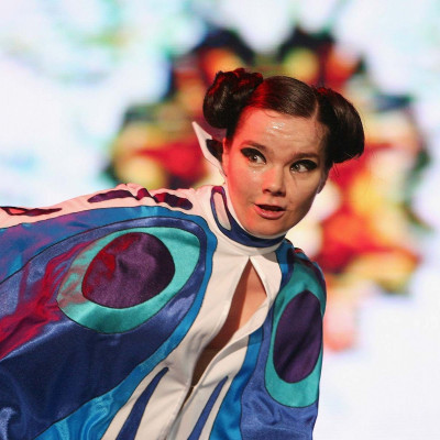 Η Bjork η σοσιαλίστρια