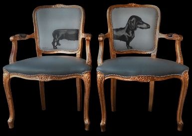 Ένα σκυλάκι στο σαλόνι μου