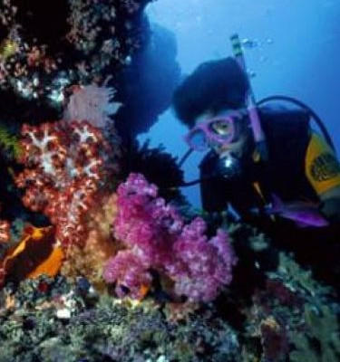 Δεκαετής «ανάρρωση» για τον Μεγάλο Κοραλλιογενή Ύφαλο