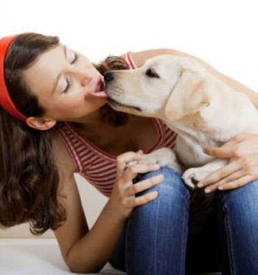 Τα ζώα, οι συγγενείς μας