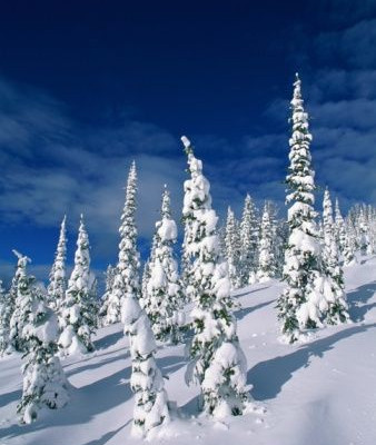 Ο Παρνασσός μεταμορφώνεται σε Εθνικό Πάρκο