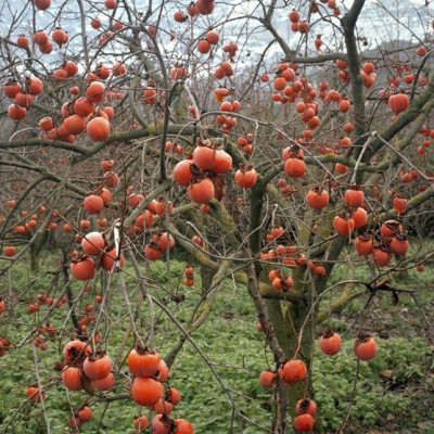 «Τόπος – Πτυχές του Χώρου»: Μια μελέτη του τοπίου που μας περιβάλει, μέσα από τον φακό του Νίκου Μάρκου