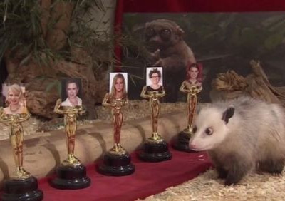 Βρήκε τους νικητές των Όσκαρ η αλλήθωρη Χάιντι;