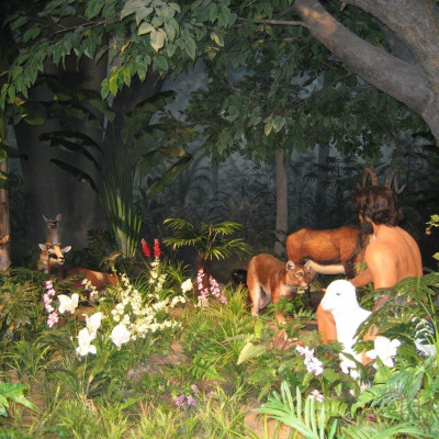 Απαγορεύεται η είσοδος στους άνδρες