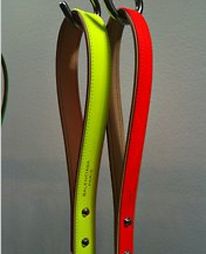 To δικό σας σκυλάκι έχει Balenciaga;