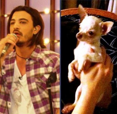 Σε ποιαν έκανε δώρο ένα τσιουάουα ο Δήμος Αναστασιάδης;