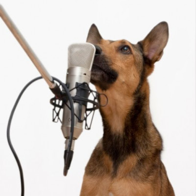 Ένας σκύλος που τραγουδάει ροκ