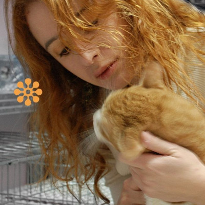 Βιβή Κατηφόρη: Ποιος έχει το νου του στα αδέσποτα;