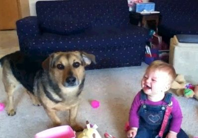 Υστερικά γέλια μωρών, υπάρχουν