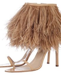 O καινούργιος φτερωτός μας φίλος