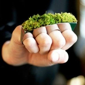 Η φύση εμπνέει