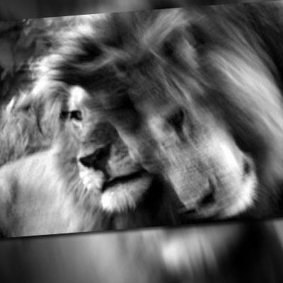 «Civil Disobedience: youth revolt»: Μια πολύχρωμη επανάσταση