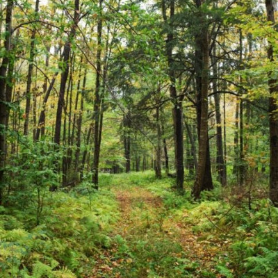 Ευρωπαϊκή διάκριση για WWF