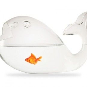 Ο Νέμο μετακόμισε