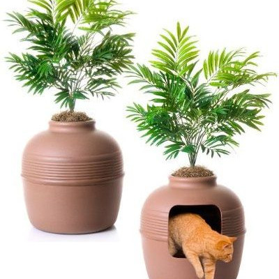 Ανθισμένη τουαλέτα