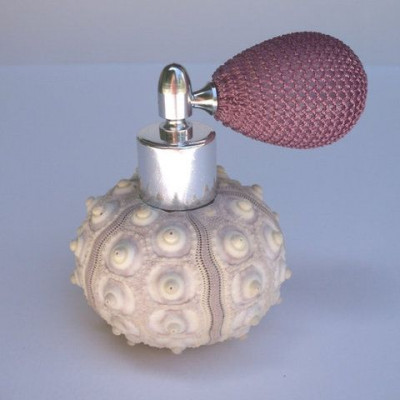 'Αρωμα και πώς να το διαλέξεις