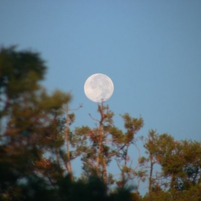 Αστρολογική Εφημερία, από 11 έως 14 Ιουνίου