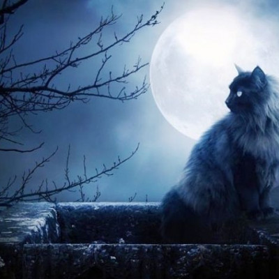 Η καθημερινή επιρροή της Σελήνης, από 12 έως 14 Ιουνίου