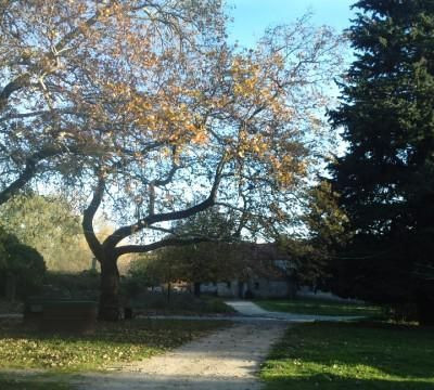 Τατόι ώρα μηδέν