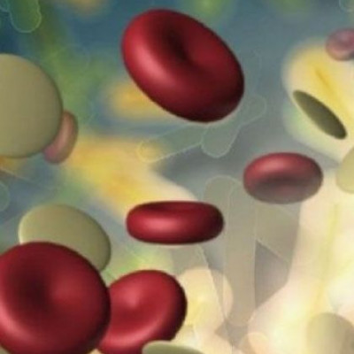 Η ομάδα αίματος προβλέπει τη γονιμότητα