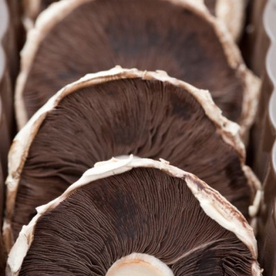 Μεξικάνικες κεσαντίγιες με μανιτάρια Portobello