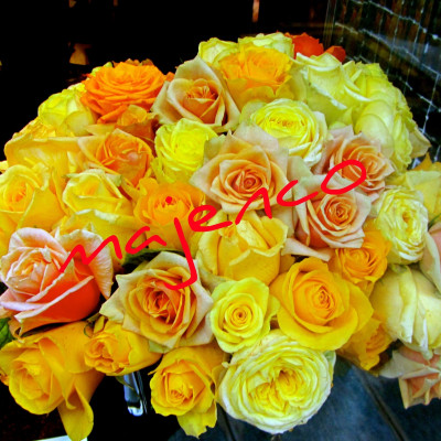 ΧΡΟΝΙΑ ΠΟΛΛΑ ΣΕ ΟΛΟΥΣ !!!!!!!!