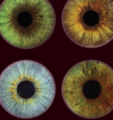 Αναδείξτε το χρώμα της ίριδας