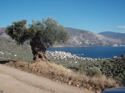 Για χρυσό έψαχναν, τη ΔΙ.ΑΣ βρήκαν…