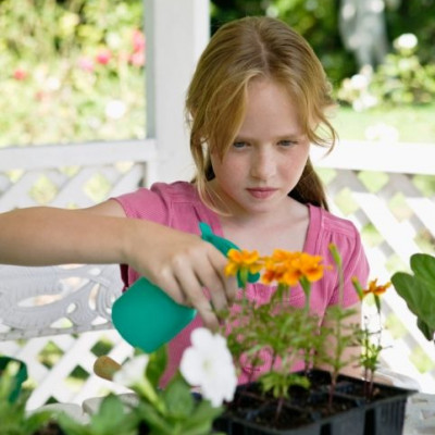Το φυτό σου κι αν το πλένεις το σαπούνι σου χαλάς