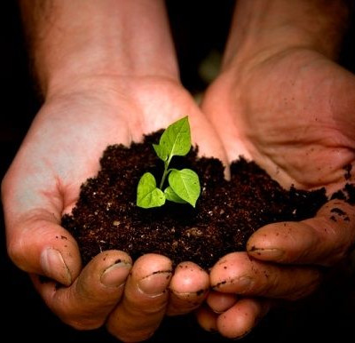 Τι είναι το "Πελίτι"