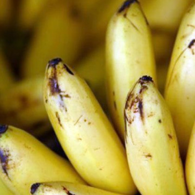 Μπουγάτσα με σοκολάτα και μπανάνα από τη Νίκη Μερκούρη