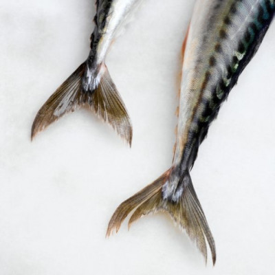 Πως να κάνετε φρέσκο το καταψυγμένο ψάρι σας;