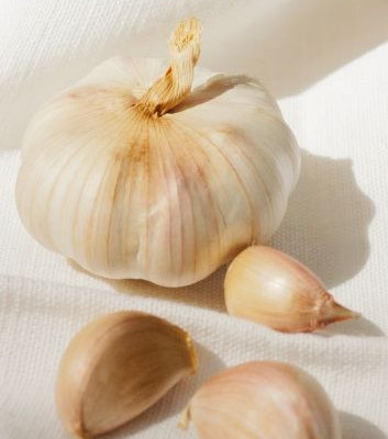 Σκόρδο για υγιή καρδιά