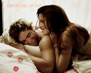 Το «Twilight Breaking Dawn» σπάει όλα τα ρεκόρ του Box-Office!