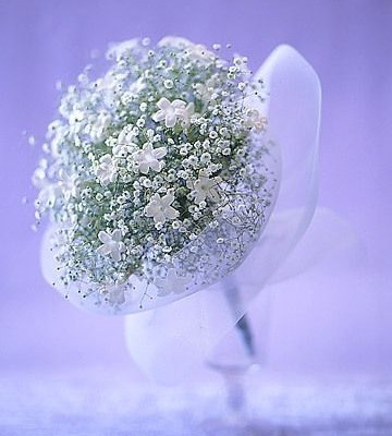 Η βασίλισσα του χιονιού