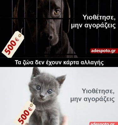 Αυτά τα Χριστούγεννα δεν αγοράζουμε ζώα, υιοθετούμε