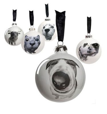 Ένα κατοικίδιο στο χριστουγεννιάτικο δέντρο