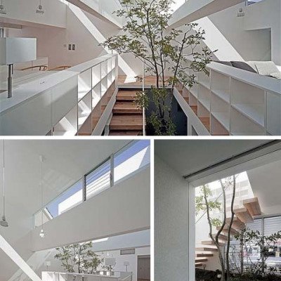 Πως να ζεις πάνω στις κορυφές των δέντρων