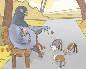 Facebook: «Πήγα στο Σύνταγμα και είδα περιστέρια να ταΐζουν ανθρώπους»!